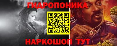 a pvp Сланцы