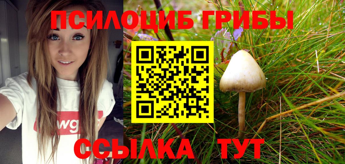 Галлюциногенные грибы Magic Shrooms  Псилоцибиновые грибы прущие грибы  наркошоп  Вход с VPN  Новый Уренгой 